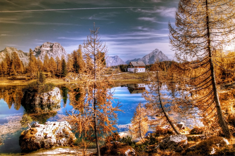 rock, tranquil scene, lago federa, dolomites, rubble field, day, no people, alm, outdoors, forest, tree, cloud - sky, panorama, reflection, growth, water