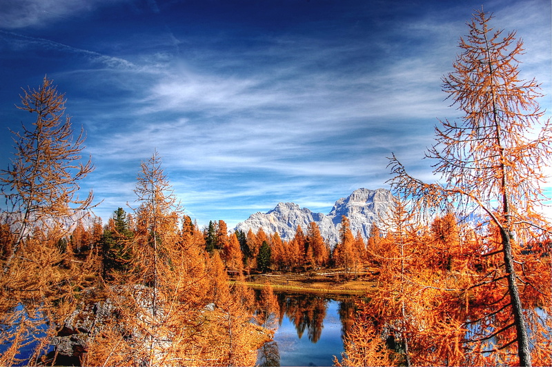 cloud - sky, coniferous tree, lago federa, rock, alpine, pine tree, plant, view, outdoors, no people, water, tree, non-urban scene, tranquility, woodland