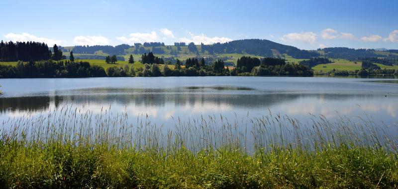 nature, beauty in nature, allgäu, beside, green, environment, summer, mountain panorama, forest, lake, bergsee, outdoors, grass, cloud - sky, tree, sky