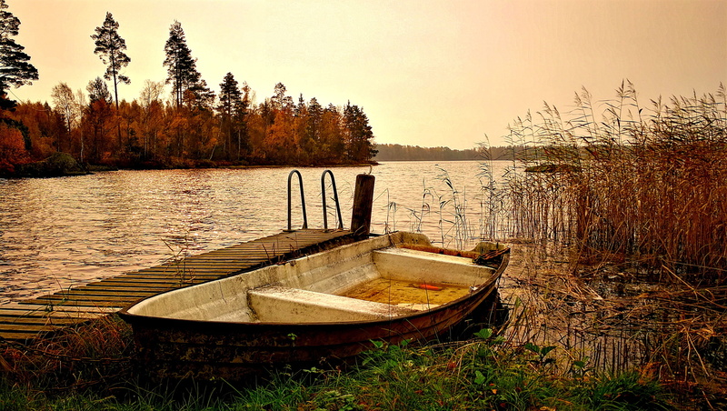 non-urban scene, scenics - nature, meditation, sweden, autumn, clarity, hdr, transportation, brine, land, abandoned, mood, tranquility, forest, dusk, moored