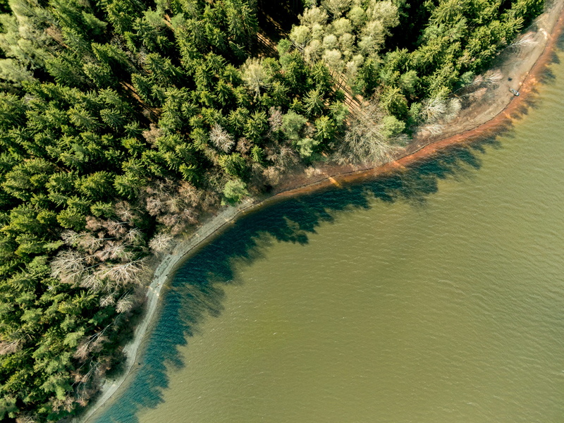 beauty in nature, contrast, brine, plant, day, scenics - nature, water, 4K, waterfront, tranquility, tree, land, waters, trees, flowing water, forest