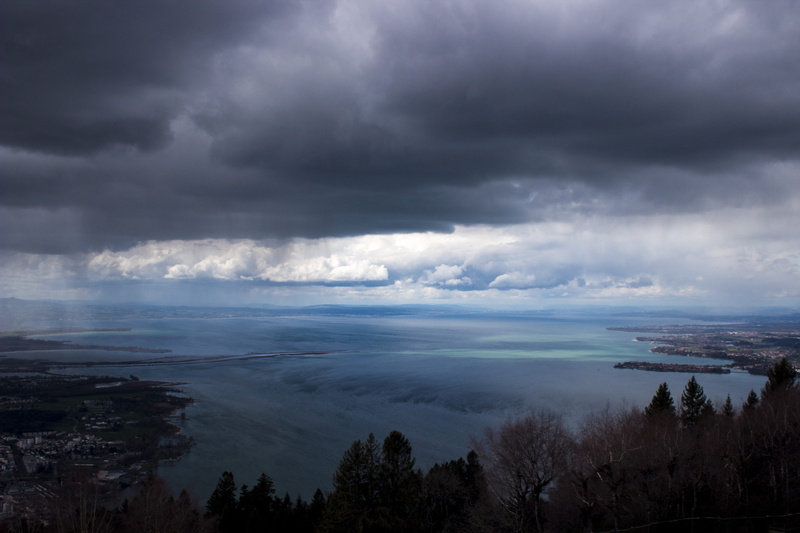 environment, landscape, plant, tranquil scene, scenics - nature, non-urban scene, cloudscape, storm, day, tranquility, ominous, sky, overcast, tree, no people