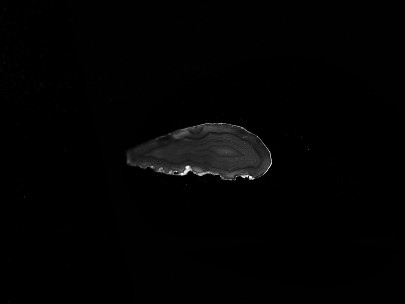 black, cut out, stone, close-up, night, mineral, jewel, no people, studio shot, dark, flat, black and white, still life, water, single object, food and drink