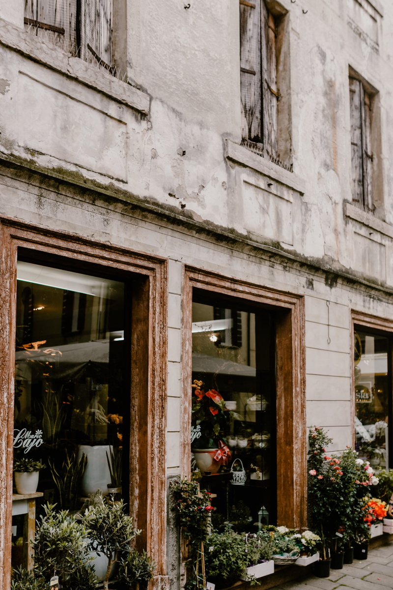house, Italy, residential district, building, architecture, outdoors, blooming, castelfranco veneto, store, blossom, building exterior, sunlight, 4K, castelfranco