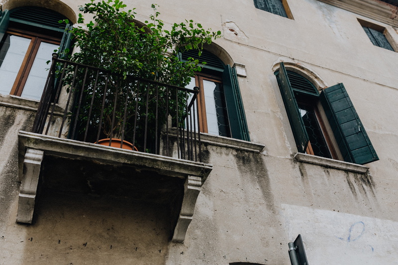 tree, apartment, street, window, old, spring, house, outdoors, 4K, reflection, railing, built structure, building exterior, castelfranco, building, castelfranco veneto