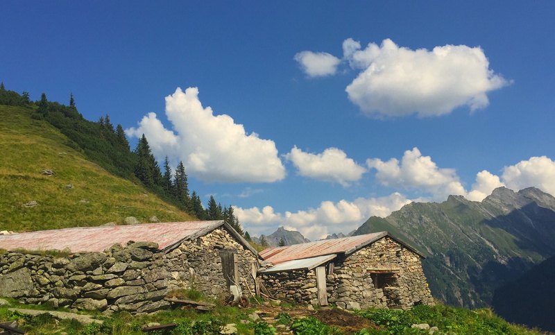 austria, no people, environment, alm, alpine, grass, summer, mountain hut, built structure, cloud - sky, plant, tyrol, stall, building exterior, ginzling
