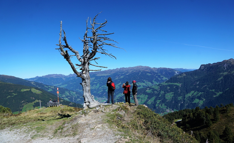 zillertal, autumn, summer, men, alm, adventure, grass, tranquility, vacations, alpine, alp, people, hiking, austria, rear view, non-urban scene, agriculture