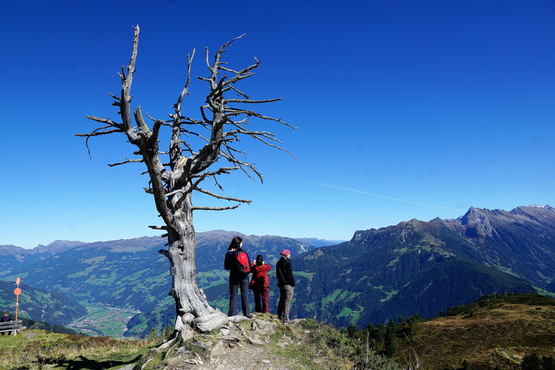 sky, alp, hike, men, leisure activity, non-urban scene, day, holidays, beauty in nature, scenics - nature, tree, zillertal, adventure, austria, alp output