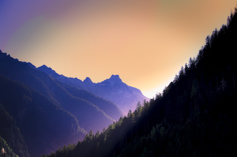 mountain nature, zillertal, forest, no people, outdoors, tree, pine woodland, coniferous tree, tranquility, scenics - nature, beauty in nature, idyllic