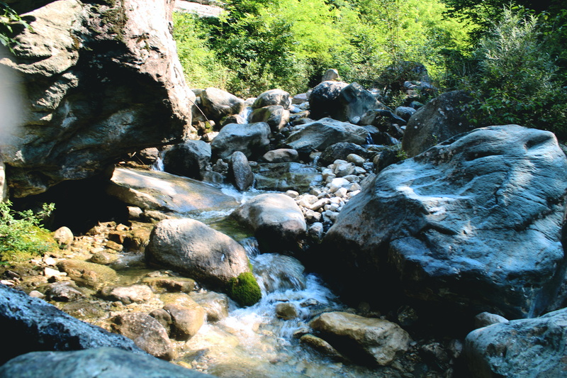 tree, forest, scenics - nature, waterfall, river, solid, flowing water, plant, flowing, nascente, day, como, outdoors, paz, stones, motion, wild, land