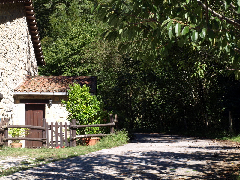 plant, park, footpath, old, direction, Door, wood, growth, historical, green color, tree, stone, park - man made space, houses, galicia, bed and breakfast