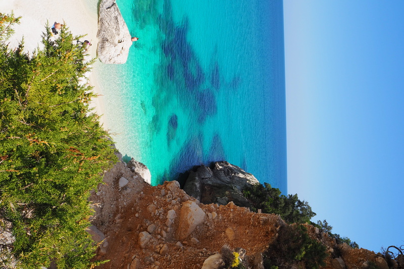 sardegna, turquoise colored, rock - object, solid, beauty in nature, idyllic, tranquil scene, land, italy, tranquility, beach, scenics - nature, day, tree