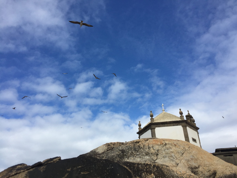 capela do senhor da pedra, day, gulpilhares, religion, 2K, building, bird, mid-air, animal themes, building exterior, architecture, nature, flying, sky