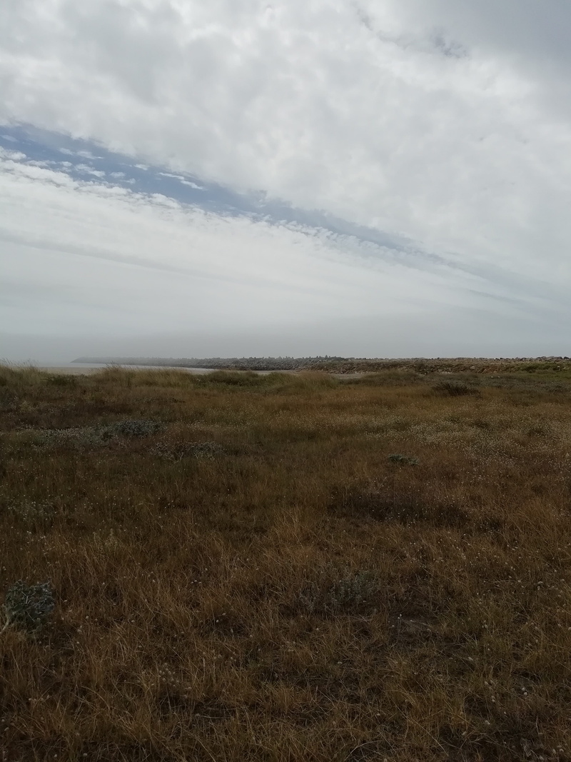 growth, portugal, no people, cloud - sky, horizon, environment, field, remote, blue, day, 4K, land, grass, nature, sky, water, viana do castelo, tranquility