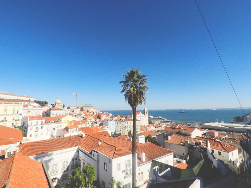 building exterior, water, castelo de s. jorge, tropical climate, tree, townscape, built structure, building, no people, clear sky, portugal, city, sunlight