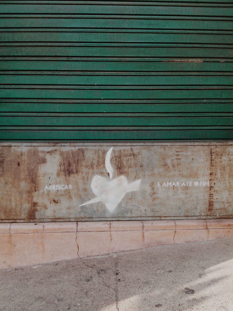street art, architecture, animals in the wild, green color, santa tereza, nature, iron, belo horizonte, animal themes, vertebrate, representation, no people