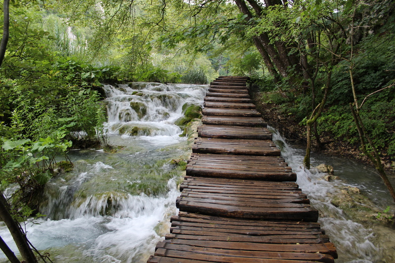 motion, scenics - nature, water, land, direction, forest, plitvice, tree, brown, natural, wood - material, 5K, bridge, cascade, outdoors, photography