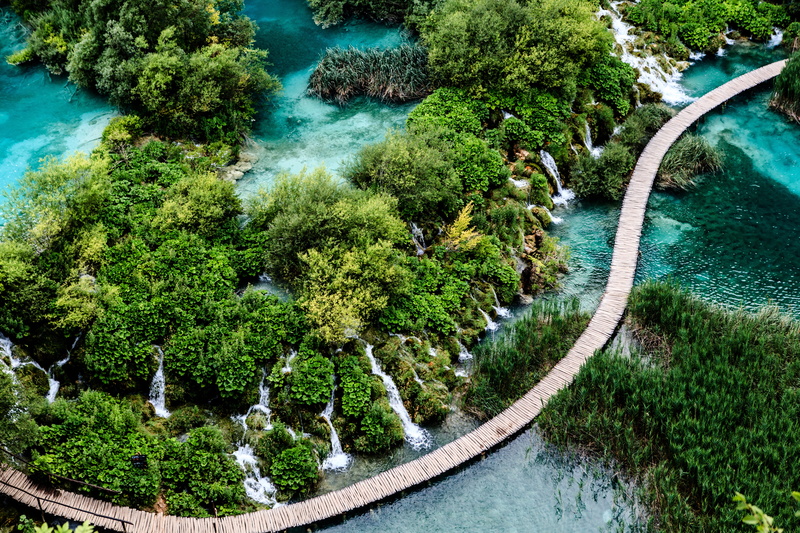 tree, daytime, scenics, waterfall, travel, water, lush foliage, foliage, view, lake, waterfalls, day, trees, tranquility, croatia, high angle view, green color