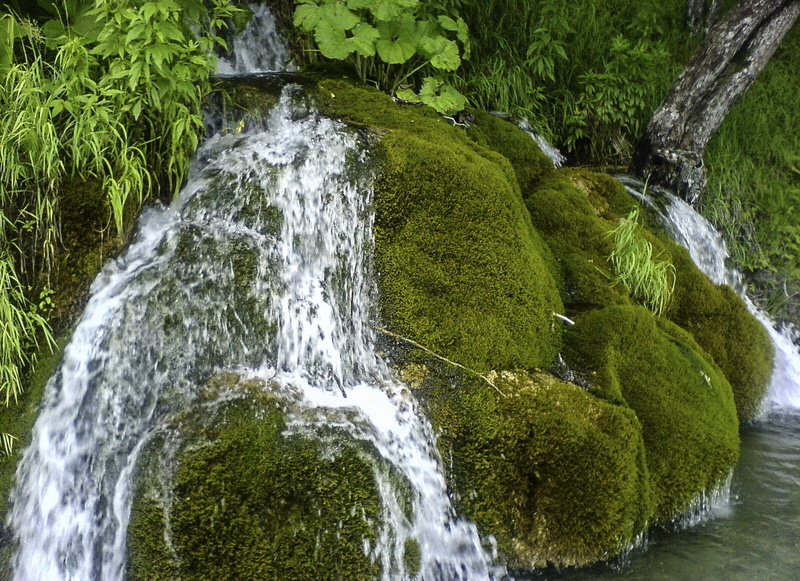 720P, outdoors, growth, rock - Object, tree, rock, plant, stream, public domain, long exposure, stream - flowing water, solid, national, freshness, scenics - nature