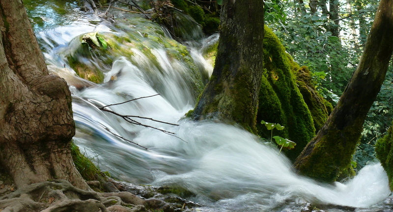 plitvice, scenics - nature, rock, zieloeń, tree, flowing, beauty in nature, 2K, rainforest, stream - flowing water, unesco, nature, power in nature, blurred motion