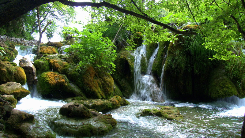 long exposure, forest, scenics - nature, power in nature, water, branches, trees, no people, rock - object, Croatia, Waterfalls, flowing, motion, flowing water