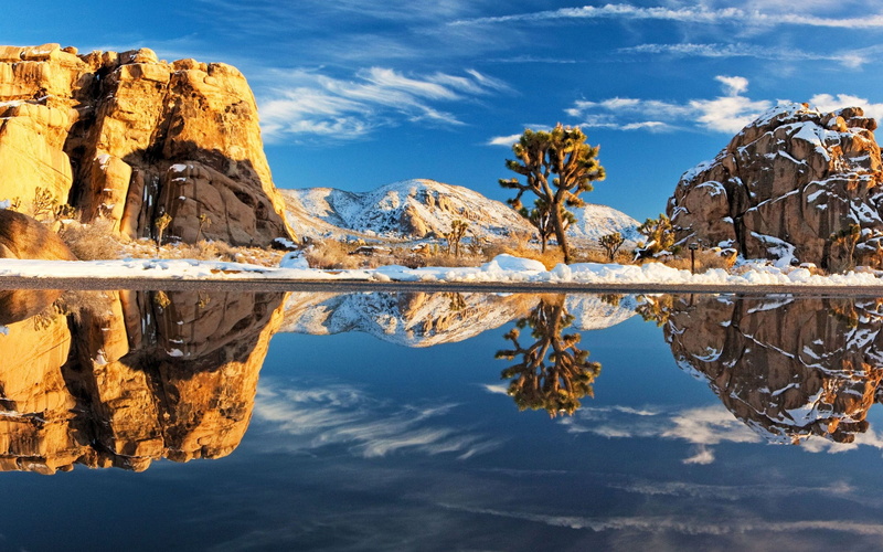 wonderful nature  1920x1200, 1080P