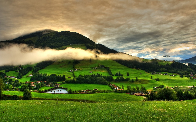 mountain, non-urban scene, 1080P, tree, idyllic, nature, field, growth, plant, wonderful nature  1920x1200, beauty in nature, green color, outdoors, no people