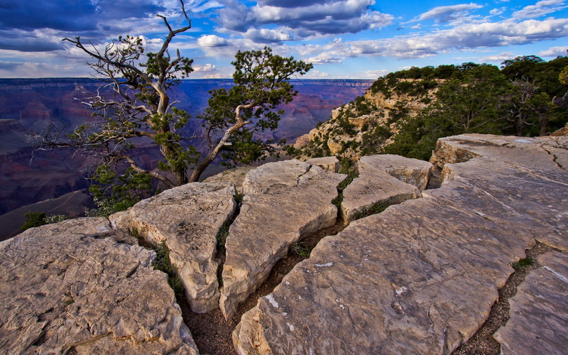non-urban scene, no people, outdoors, tree, solid, beauty in nature, tranquil scene, eroded, water, rock formation, rock - object, tranquility, rock, scenics - nature