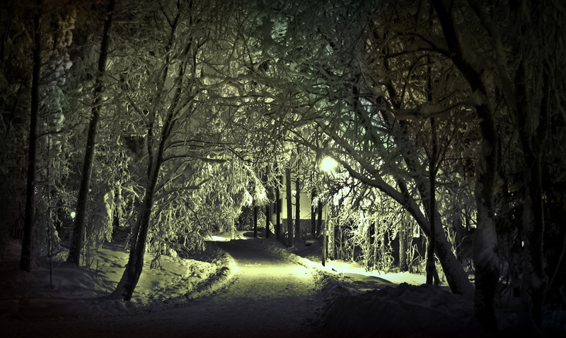 snow magic, lantern, woodland, darkness, sunlight, evening light, rest, snowy, tree, wintry, lighting, shadow, away, nature, forest path, landscape, winter forest