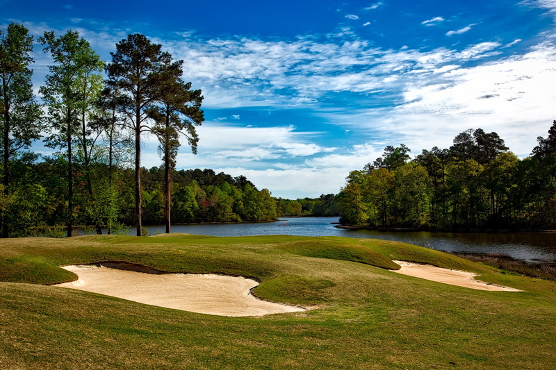 scenic, outside, 1080P, opelika, greens, tranquil scene, no people, beside, forest, golf, countryside, green - golf course, sports, leisure, recreation