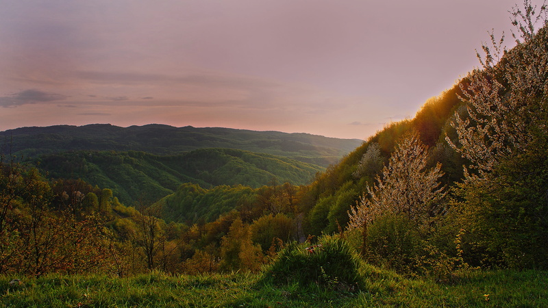 outdoors, non-Urban Scene, nature, mountains, environment, grass, hill, sunset, summer, no people, meadow, sun, tree, autumn, 4K, land, agriculture, mountain