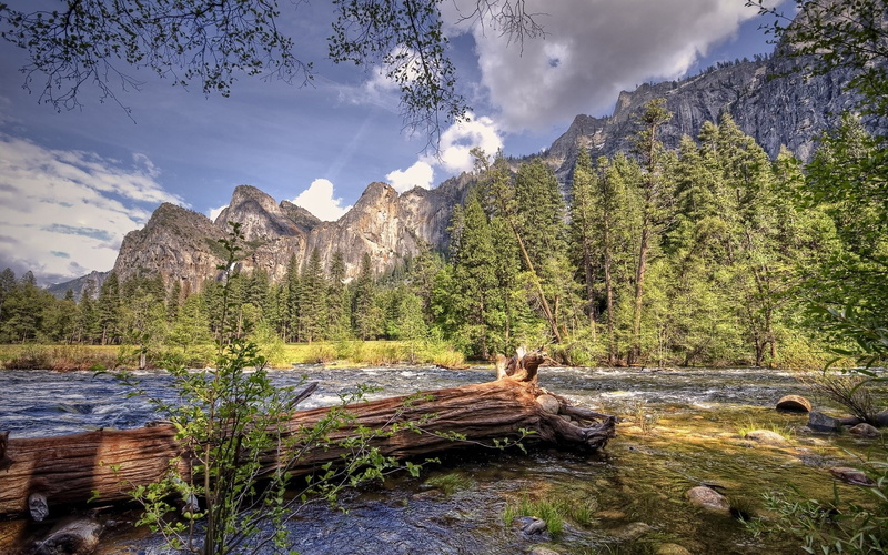 1080P, wonderful pictures of nature hd background 1920x1200