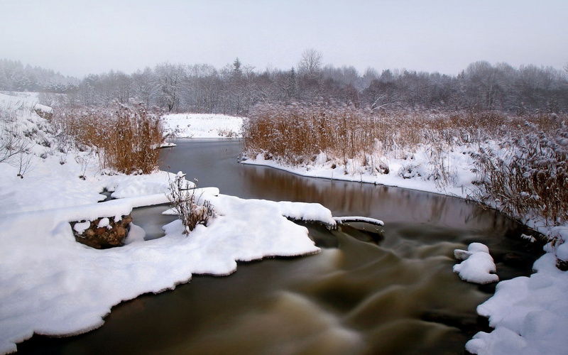 1080P, wonderful pictures of nature hd background 1920x1200