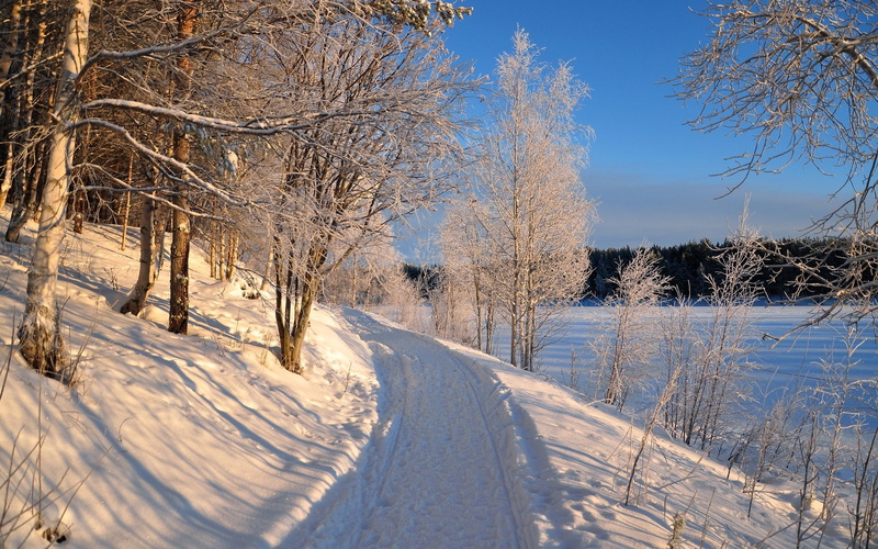 tree, scenics - nature, bare tree, white color, transportation, snowcapped mountain, no people, tranquil scene, tranquility, sky, outdoors, winter, 1080P