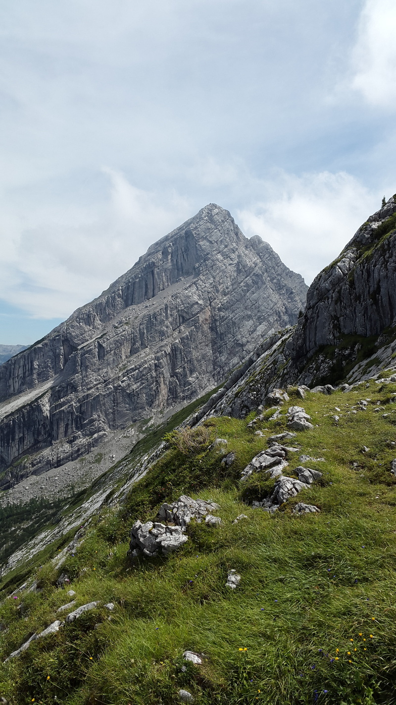 mountains, mountain, environment, grass, beauty in nature, green color, plant, summit, nature, sky, non-urban scene, berchtesgaden national park, mountain peak