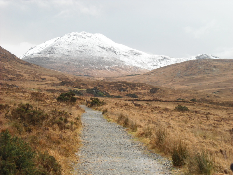 nature, vacation, stone, road, scenics, backpack, travel, journey, connemara, destination, outdoor, dirt road, peak, snowcapped mountain, semi-arid, direction