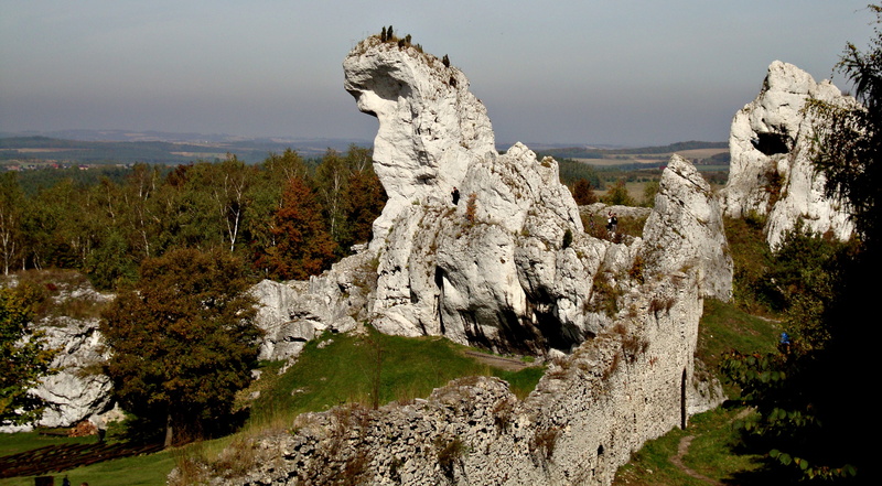 rock formation, tree, rock - object, outdoors, scenics - nature, land, mountain peak, jura krakowsko-czestochowa, climbing, Ogrodzieniec, landscape, travel destinations