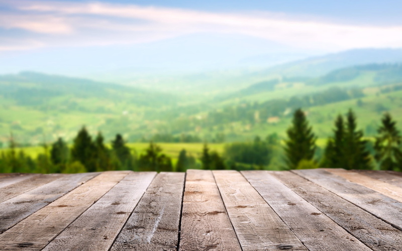 footpath, rustic, morning, outdoors, backgrounds, wood - Material, environment, no People, tranquil scene, plant, sky, tranquility, spring, selective, Board