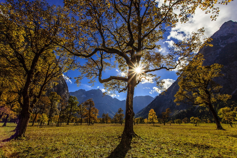 valley, Austria, the Karwendel mountains, Maple floor, Karwendel, 1080P, trees
