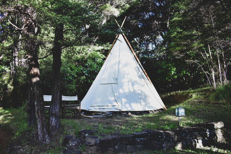 triangle, background, leisure activities, flooring, outdoors, teepee, day, trees, green, 5K, white, green color, tree, mountain tent, new zealand