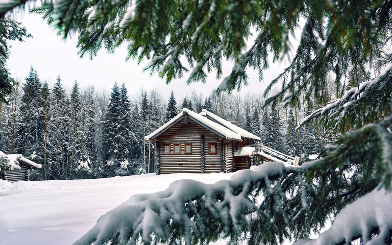 pine tree, snowing, scenics - nature, outdoors, frozen, cold temperature, building, built structure, 1080P, nature, background nature image 1920x1200