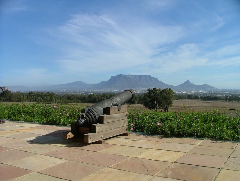 vineyard, cannon, bushes, nature, trees, wine farm, mountain, environment, architecture, de grendel wine estate and restaurant, the past, cape town, tree