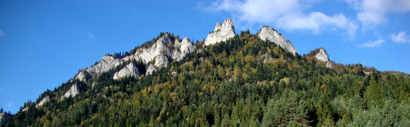 land, blue, rock, pieniny, landscape, mountain ridge, tree, pine woodland, plant, panoramic, travel destinations, day, outdoors, scenics, no people, solid