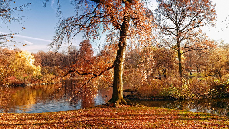 nature full size desktop 7680x4320, 8K