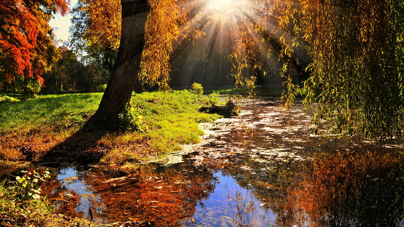 nature full size desktop 7680x4320, 8K