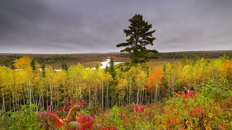 nature full size desktop 7680x4320, 8K