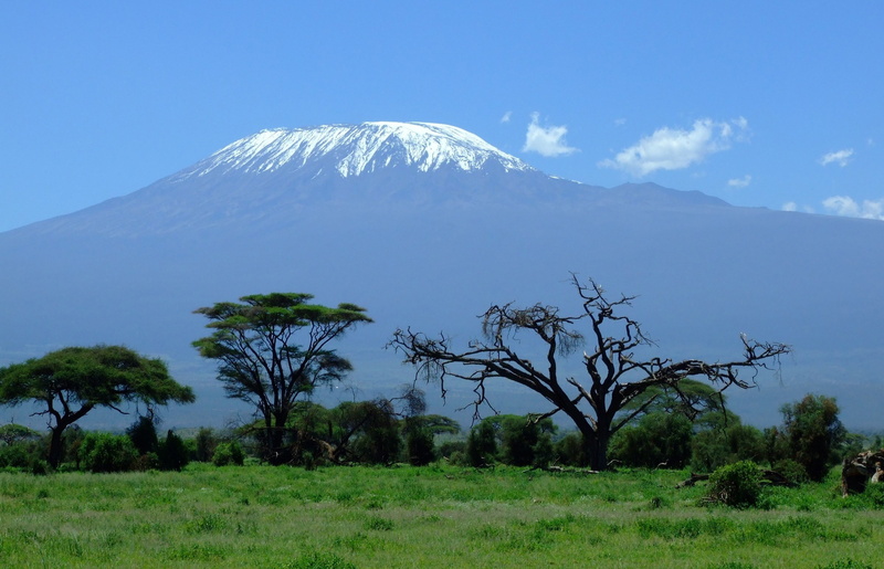 non-urban scene, no people, tranquility, outdoors, tree, landscape, mountain, 2K, mount kilimanjaro, travel destinations, volcano, plant, environment
