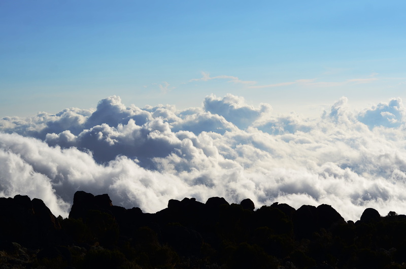 low angle view, beautiful, outdoors, kilimanjaro summit, landscape, 4K, day, roof of africa, idyllic, surreal, nature, no people, plant, sky, kilimanjaro