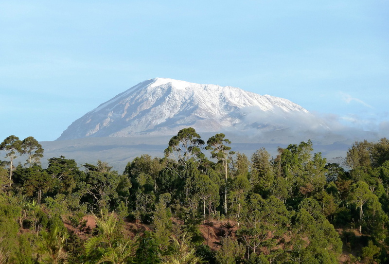 sky, growth, africa, no people, Nature, mountains, Tanzania, landscape, environment, snowcapped mountain, snowcap, tranquility, volcanic crater, volcano