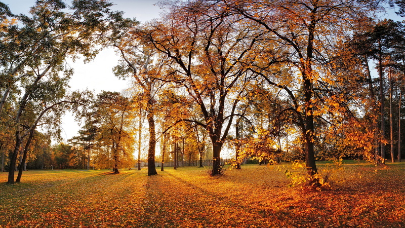 nature full size desktop 7680x4320, 8K